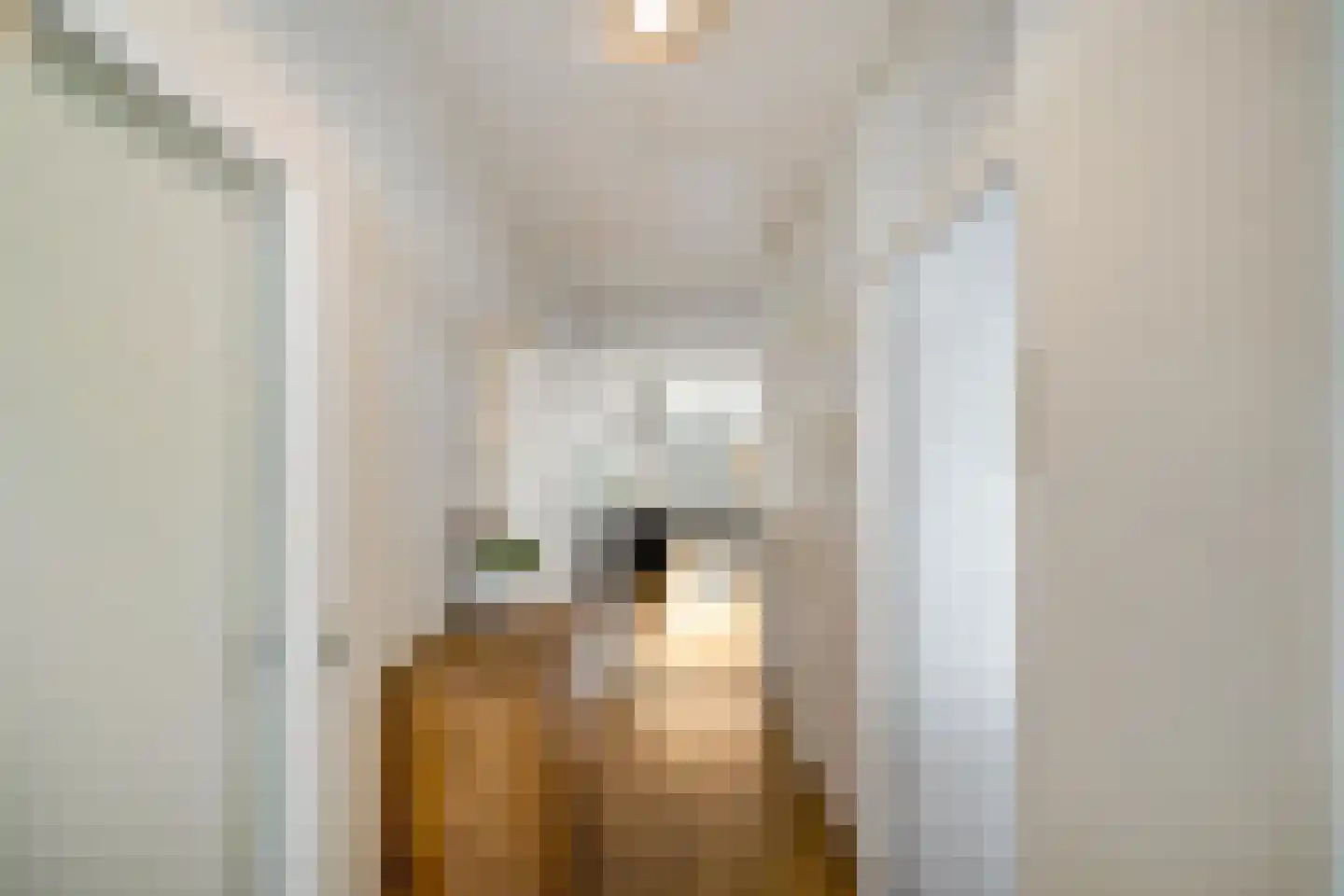 Aquamarijnstraat 81 Groningen thumbnail 8