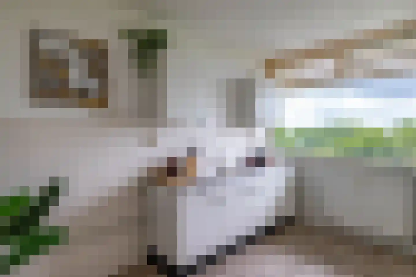 Aquamarijnstraat 85 Groningen thumbnail 16