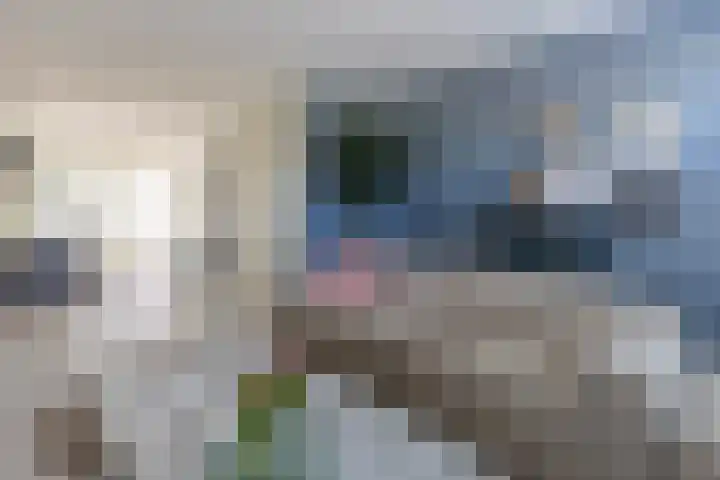 Aquarius 4 Born thumbnail 10