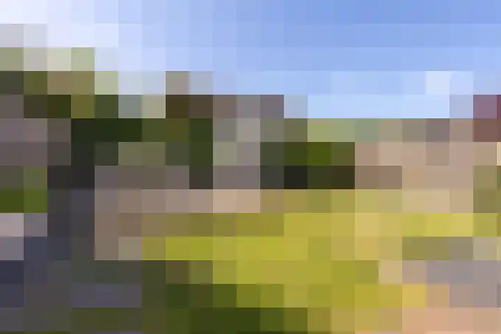 Aquarius 4 Born thumbnail 23