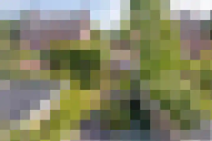 Aquarius 9 Assen thumbnail 35