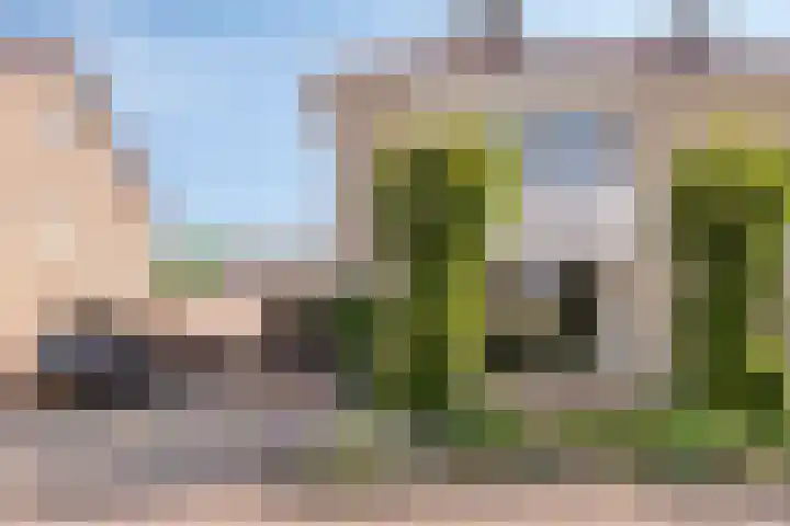 Aquarius 9 Assen thumbnail 7