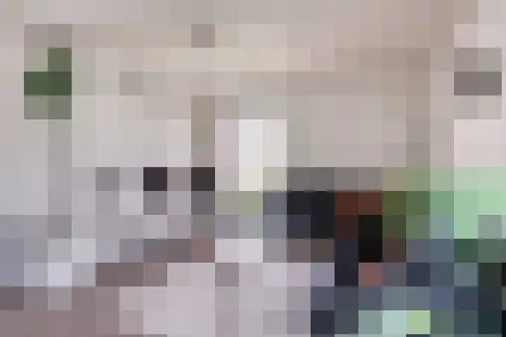 Aquariuslaan 16 Eindhoven thumbnail 10