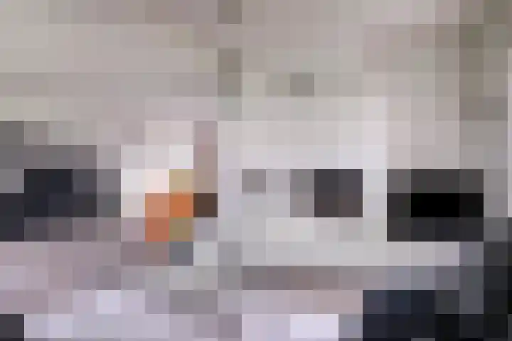Aquariuslaan 16 Eindhoven thumbnail 11