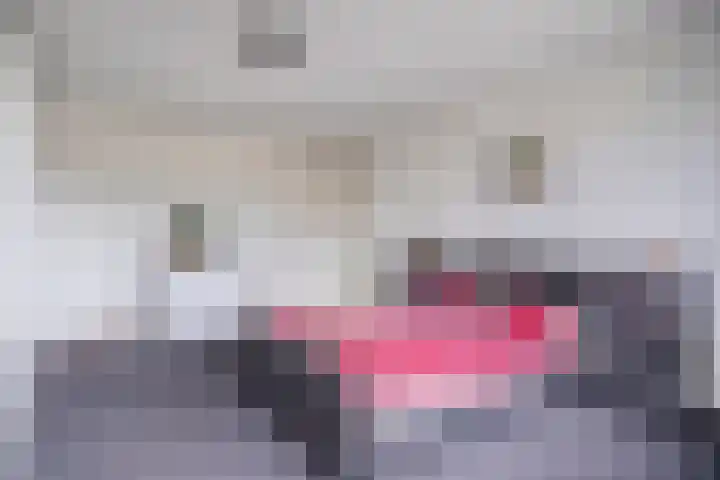 Aquariuslaan 16 Eindhoven thumbnail 18