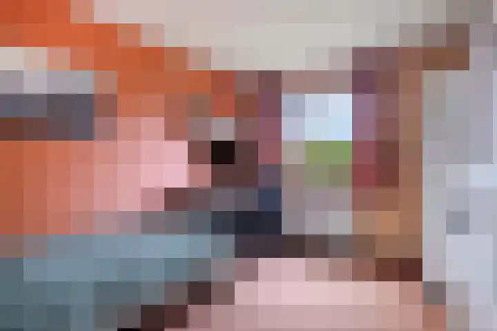 Aquariuslaan 16 Eindhoven thumbnail 22