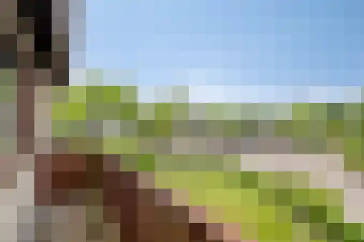 Aquariuslaan 16 Eindhoven thumbnail 29
