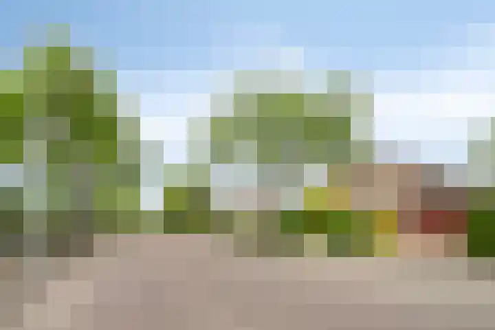 Aquariuslaan 16 Eindhoven thumbnail 30