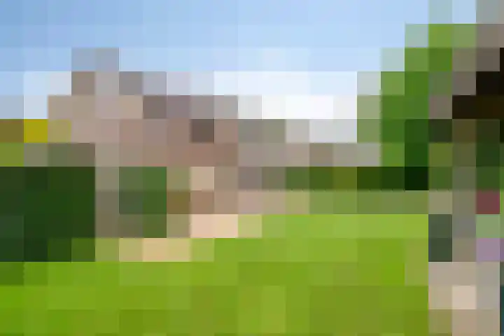 Aquariuslaan 16 Eindhoven thumbnail 31