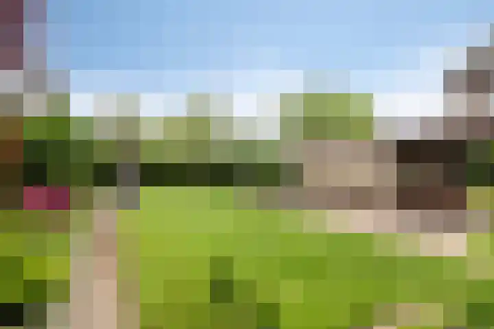 Aquariuslaan 16 Eindhoven thumbnail 35