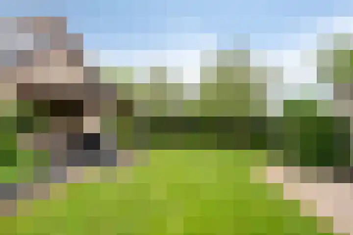 Aquariuslaan 16 Eindhoven thumbnail 36