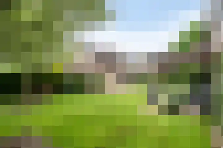 Aquariuslaan 16 Eindhoven thumbnail 4