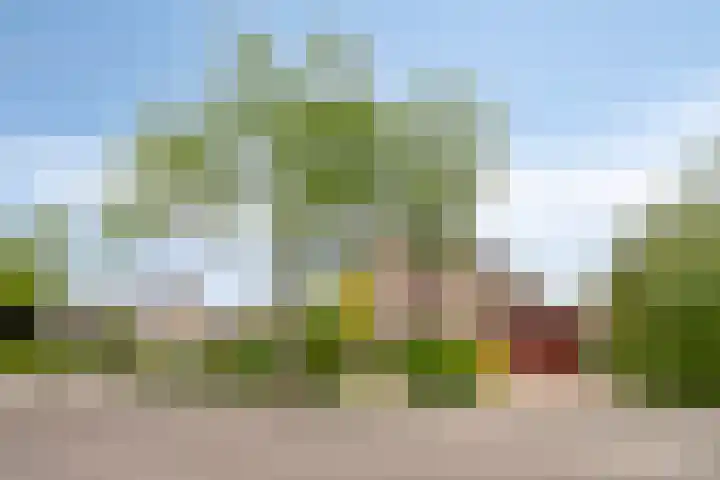 Aquariuslaan 16 Eindhoven thumbnail 41