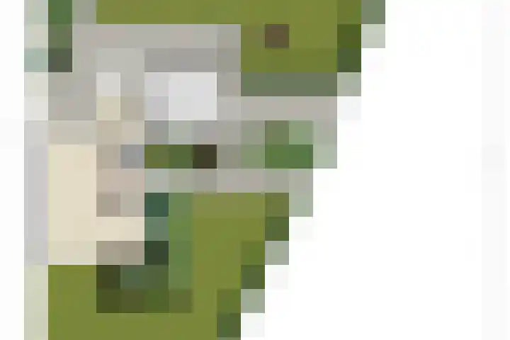 Aquariuslaan 16 Eindhoven thumbnail 43