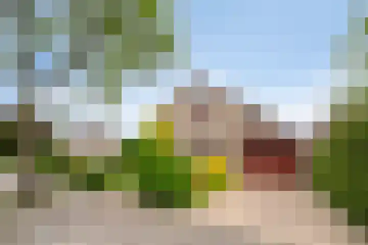 Aquariuslaan 16 Eindhoven thumbnail 48