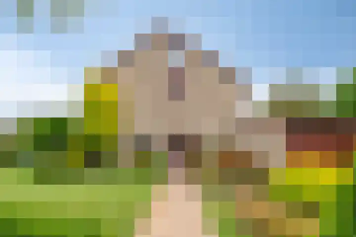 Aquariuslaan 16 Eindhoven thumbnail 5