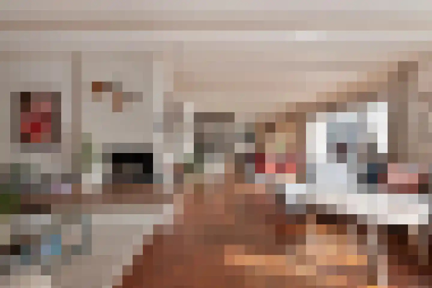 Aquariuslaan 39 Eindhoven thumbnail 18