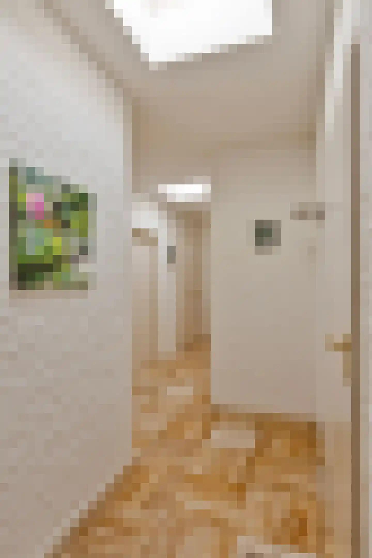 Aquariuslaan 39 Eindhoven thumbnail 32