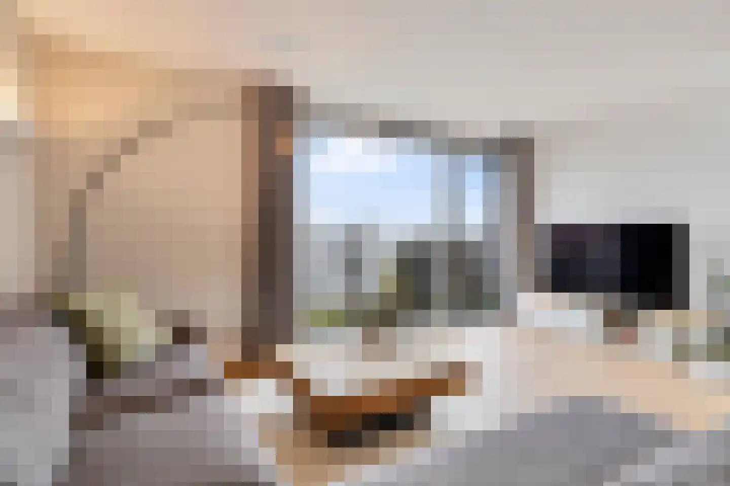 Aquasingel 13 Rosmalen thumbnail 18