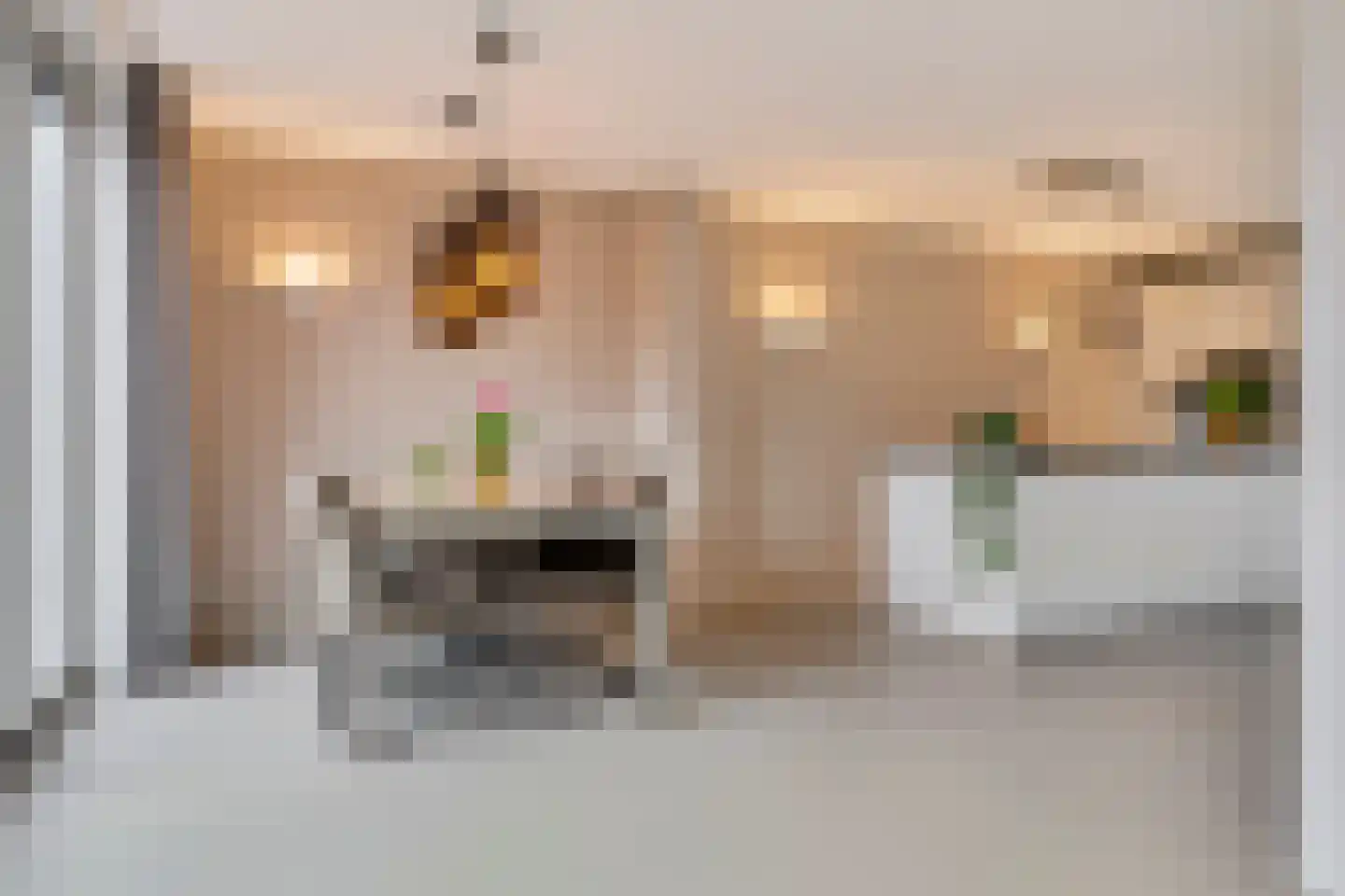 Aquasingel 13 Rosmalen thumbnail 8