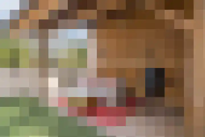 Aquasingel 31 Rosmalen thumbnail 29