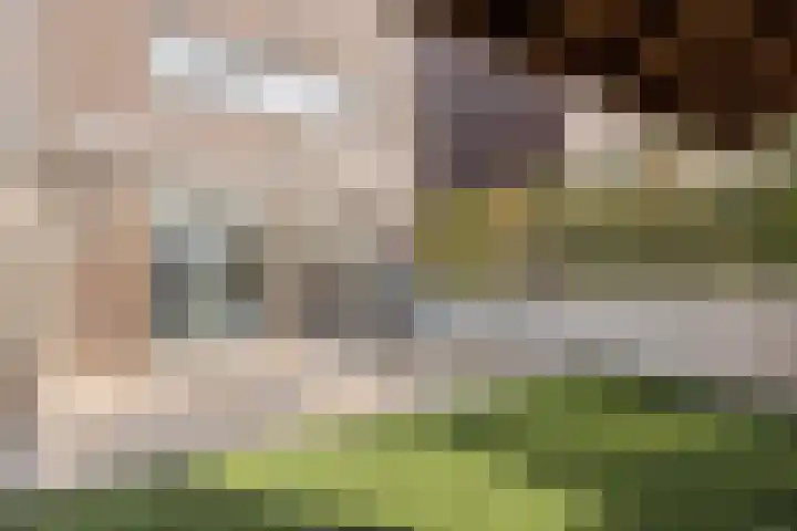 Aquasingel 31 Rosmalen thumbnail 30