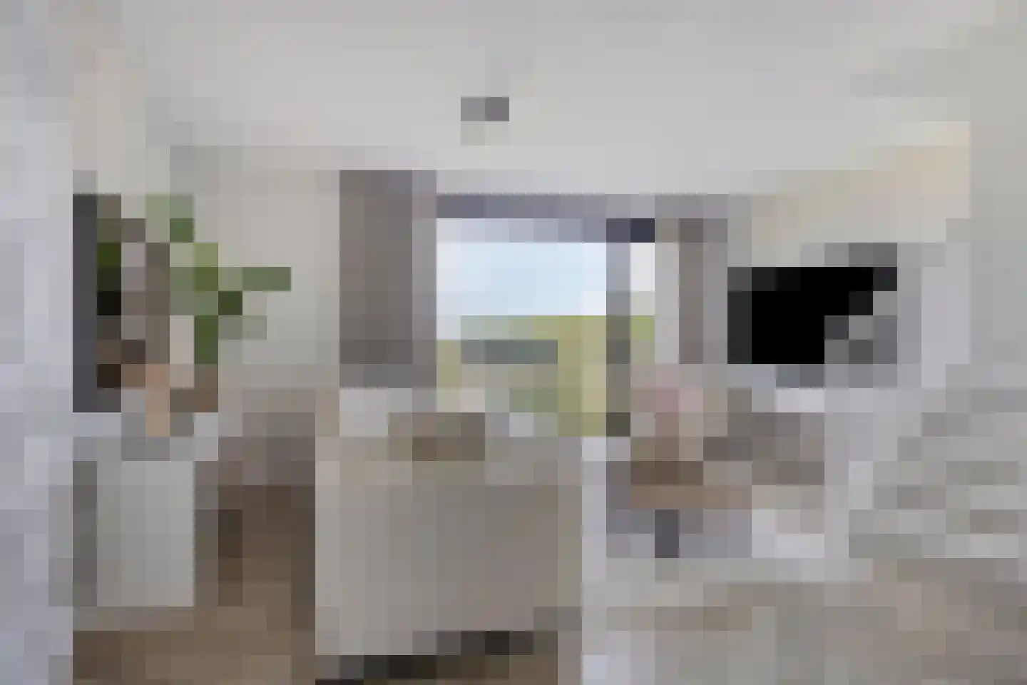 Aquasingel 57 Rosmalen thumbnail 23