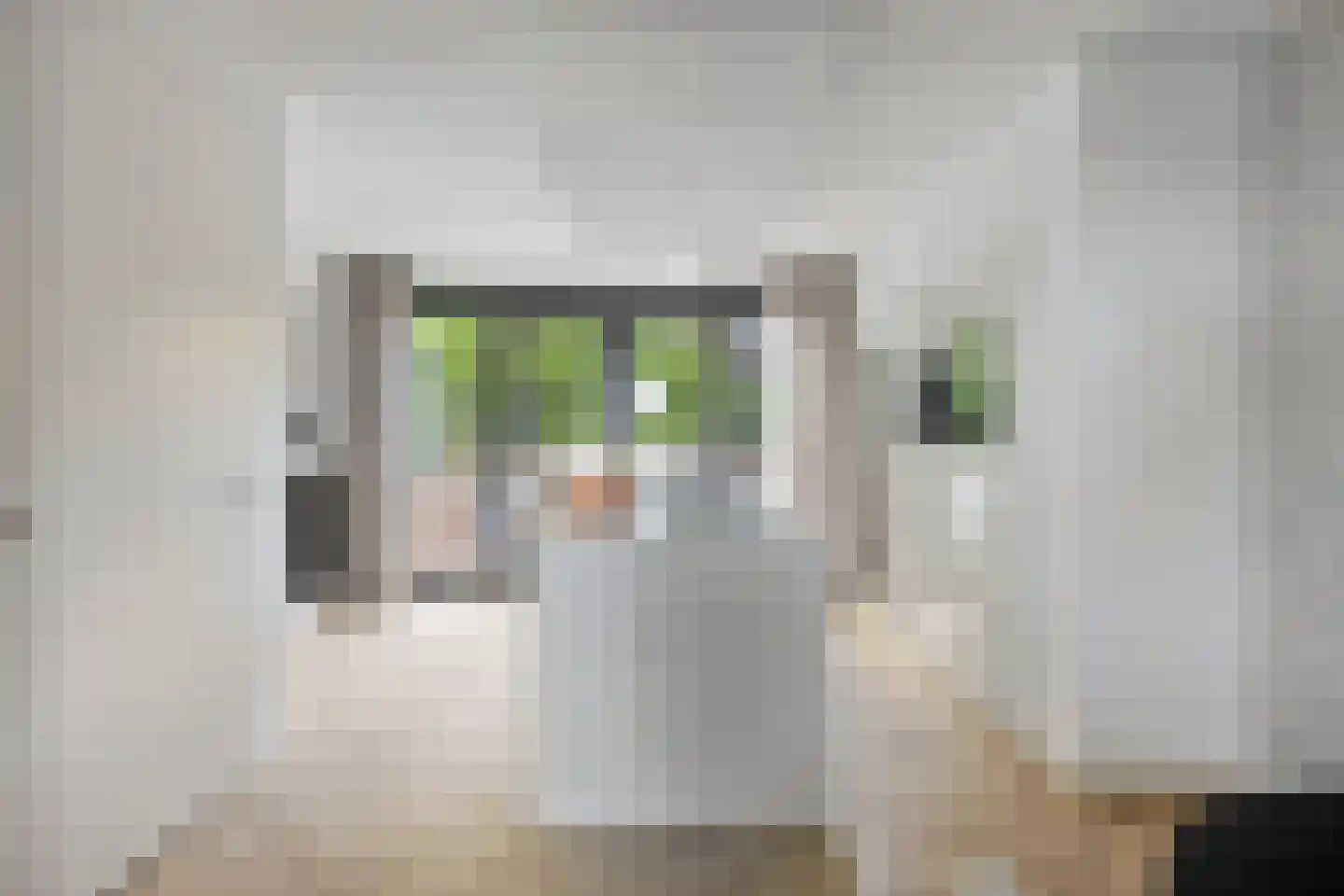 Aquasingel 57 Rosmalen thumbnail 6
