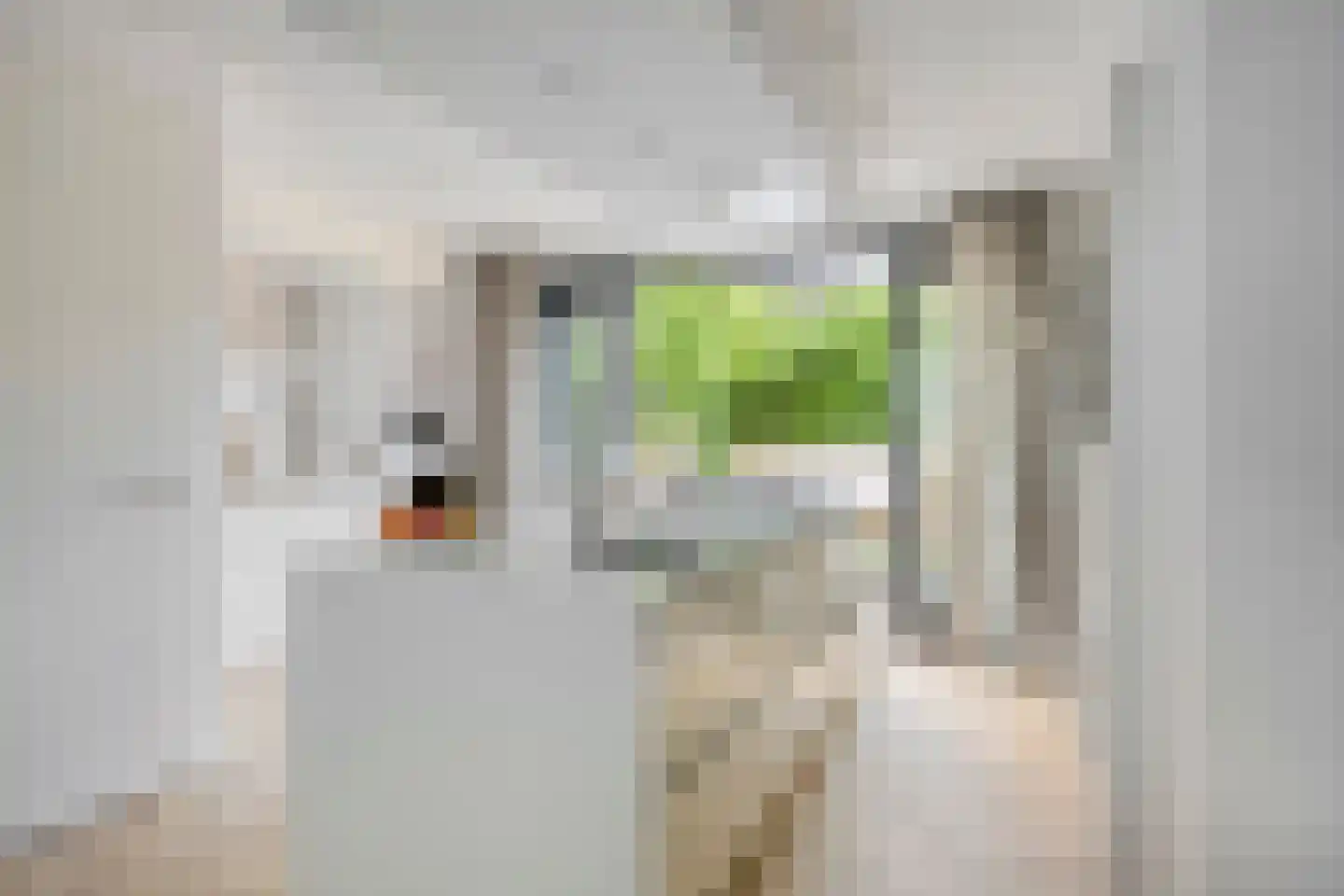Aquasingel 57 Rosmalen thumbnail 9