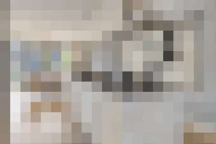 Aquasingel 7 Rosmalen thumbnail 4