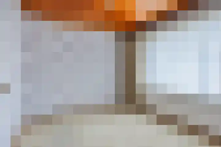 Aquila 18 Veldhoven thumbnail 13