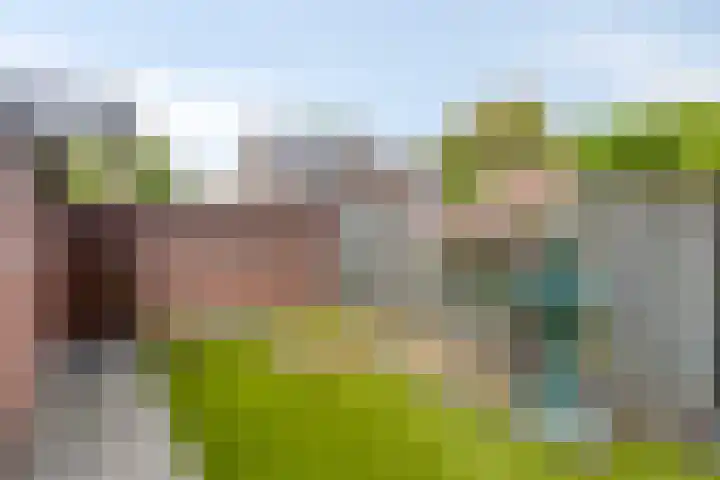 Aquila 18 Veldhoven thumbnail 17