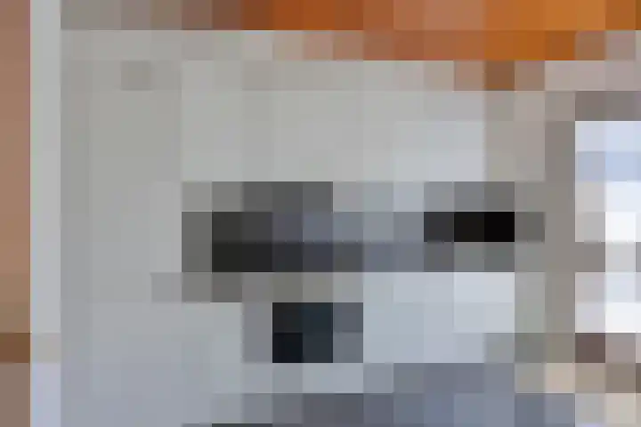 Aquila 18 Veldhoven thumbnail 7
