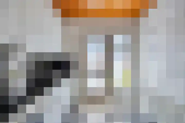 Aquila 18 Veldhoven thumbnail 8