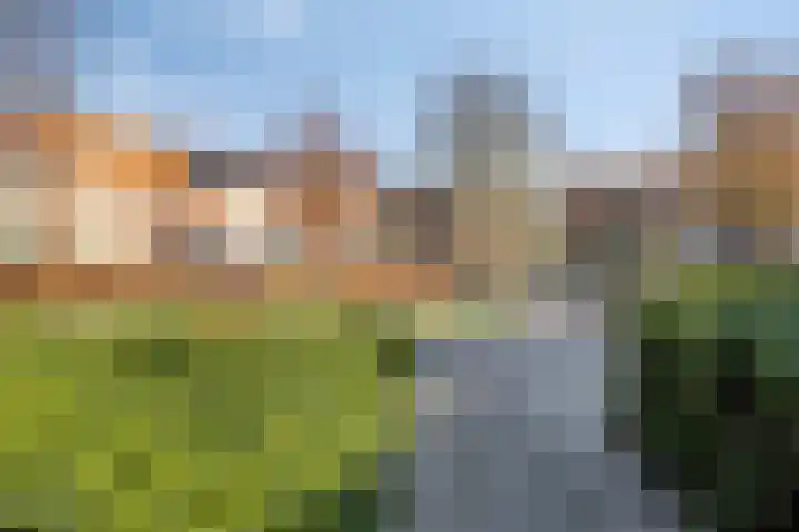 Aquila 23 Veldhoven thumbnail 29