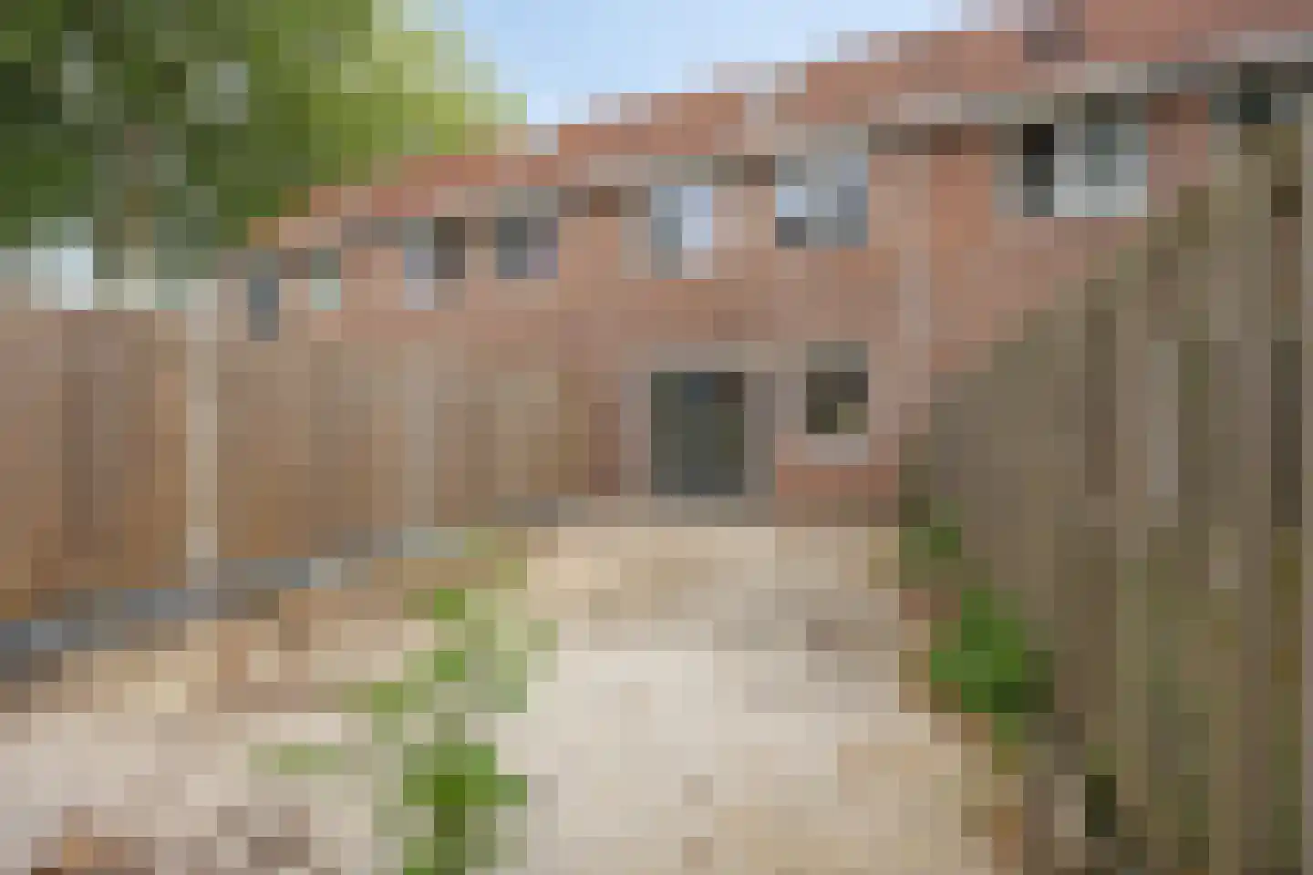 Arabella 6 Capelle aan den IJssel thumbnail 37