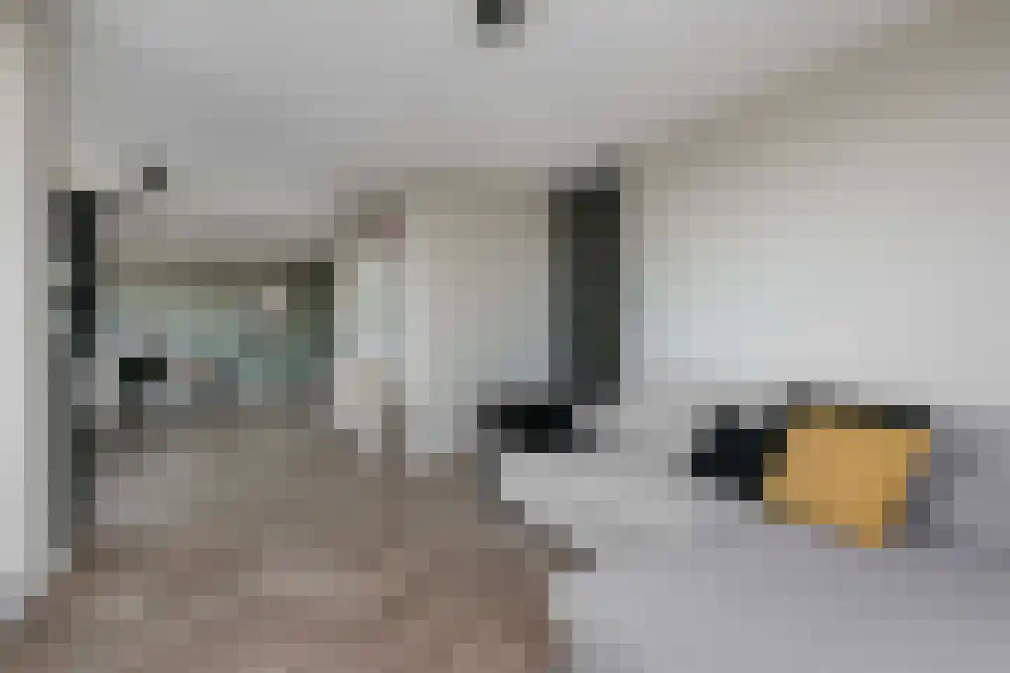 Arabellapad 296 Amersfoort thumbnail 9