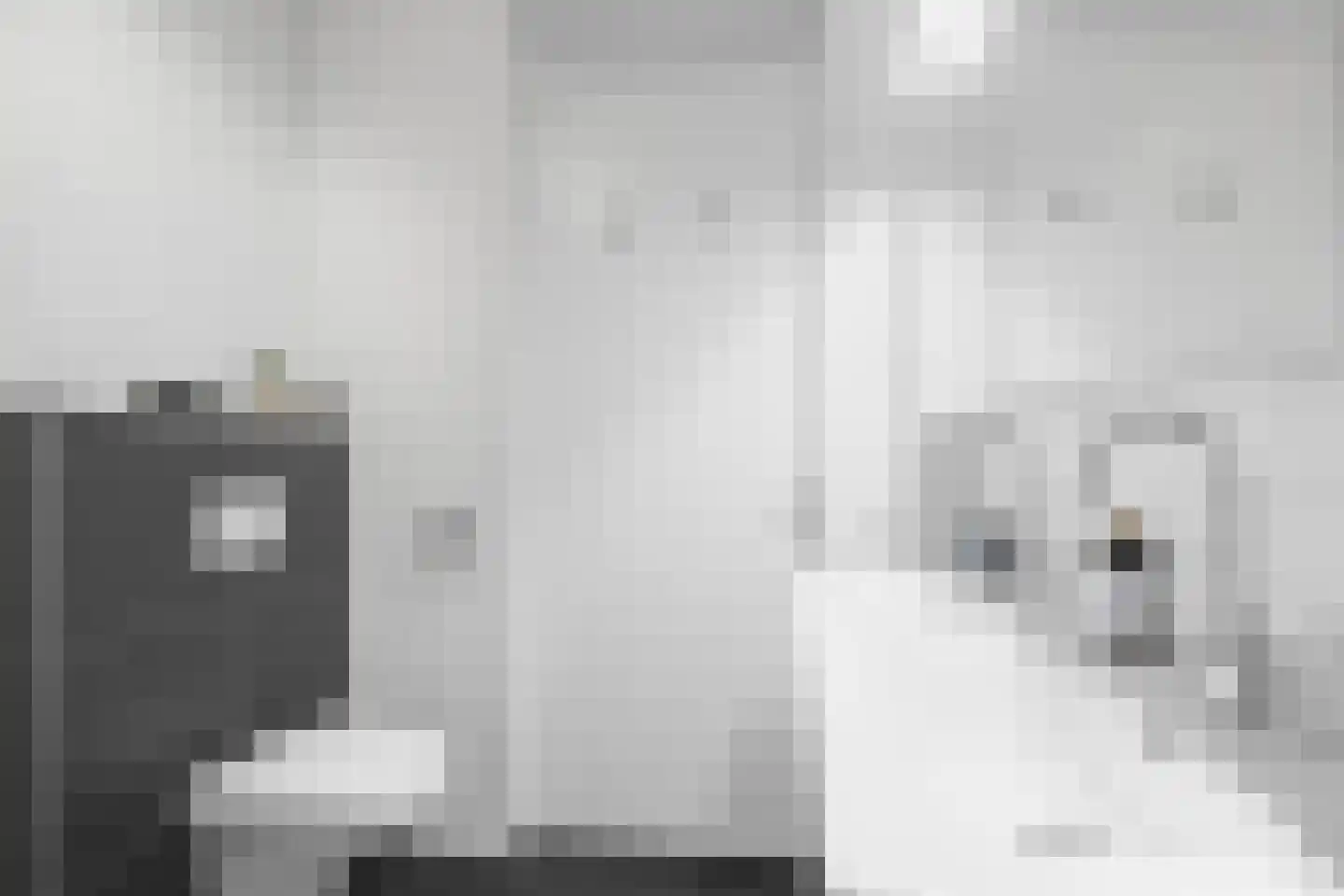 Arabellapad 306 Amersfoort thumbnail 41