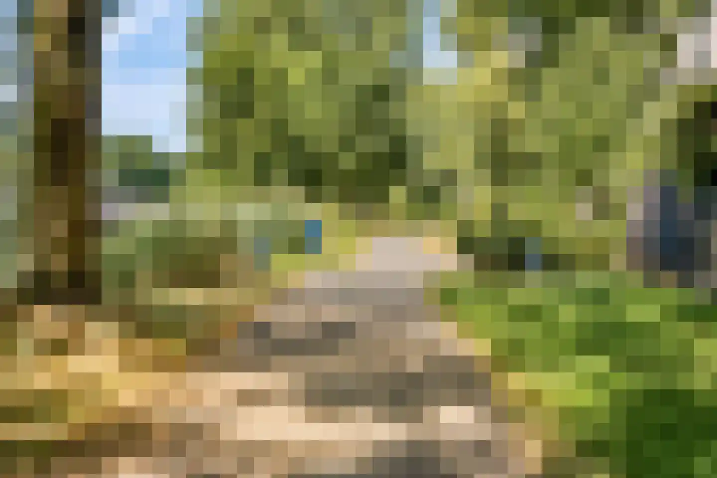 Arabellapad 31 Amersfoort thumbnail 29