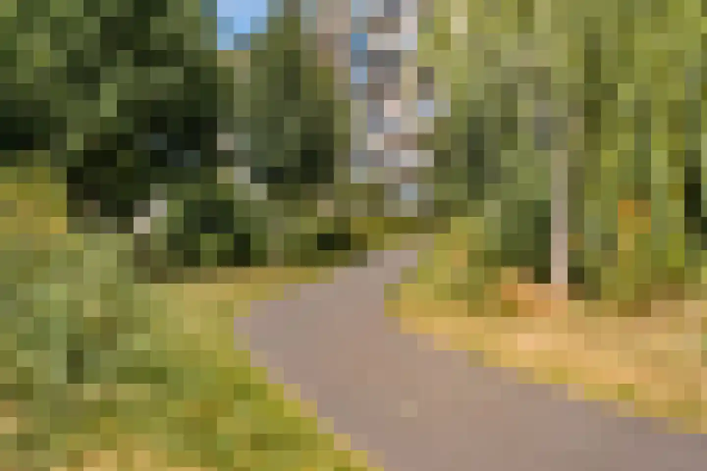 Arabellapad 31 Amersfoort thumbnail 31