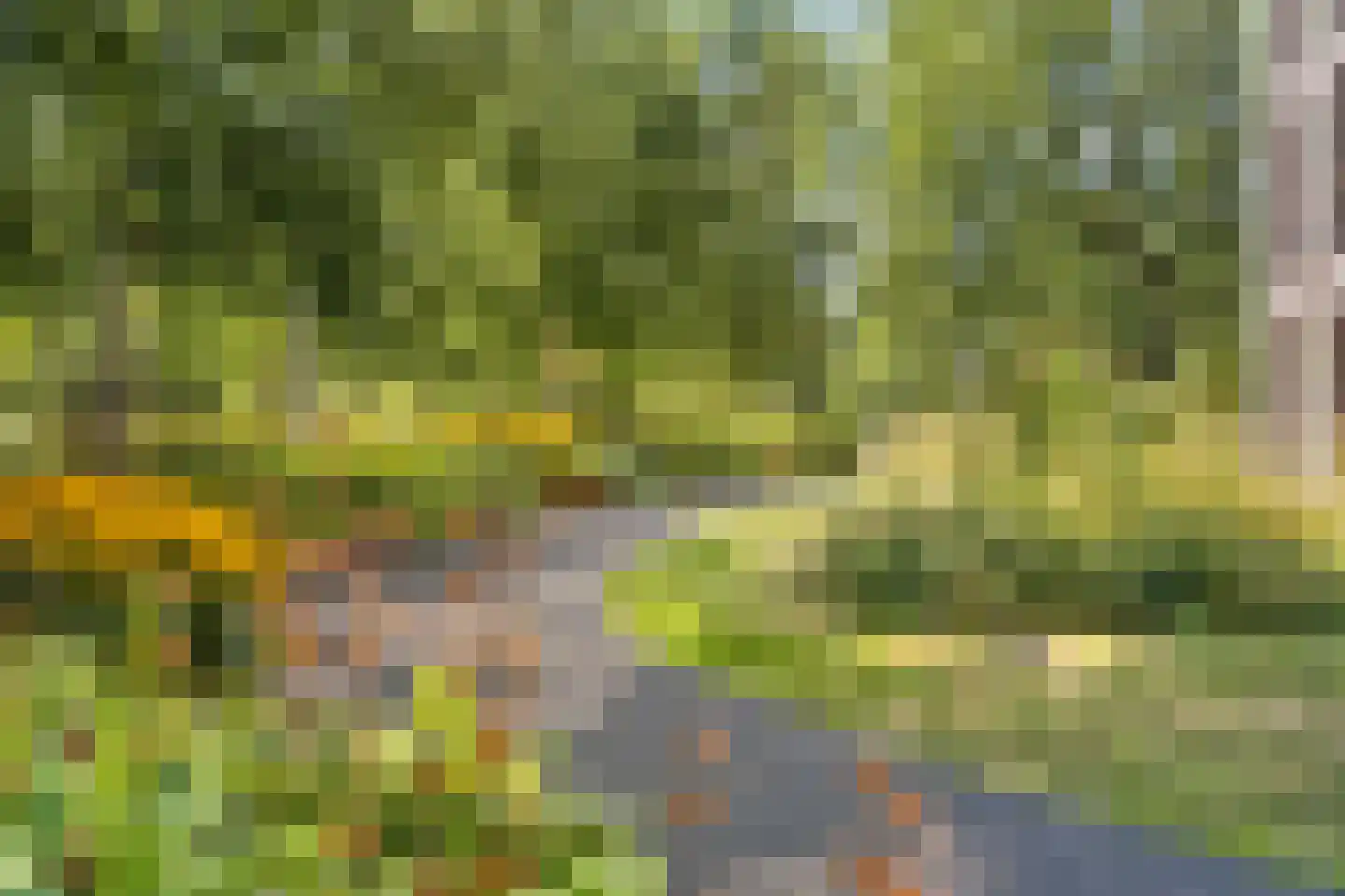 Arabellapad 31 Amersfoort thumbnail 32