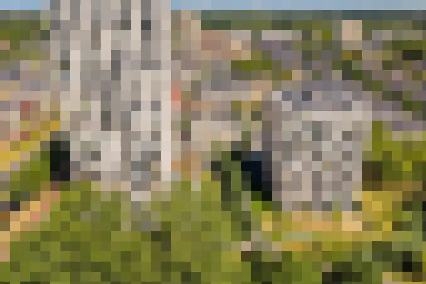 Arabellapad 31 Amersfoort thumbnail 33