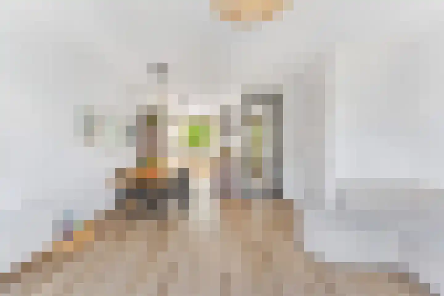 Arabellapad 31 Amersfoort thumbnail 5