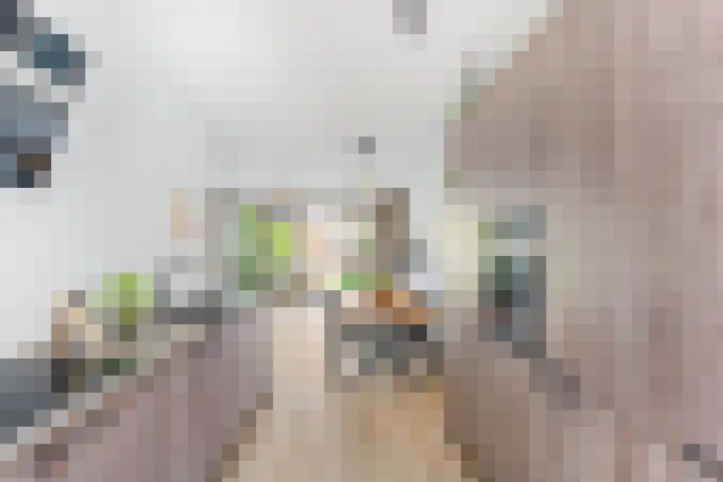 Arabellapad 31 Amersfoort thumbnail 7