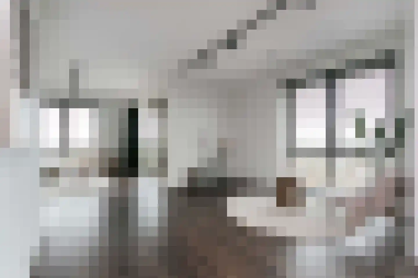 Arabellapad 324 Amersfoort thumbnail 15