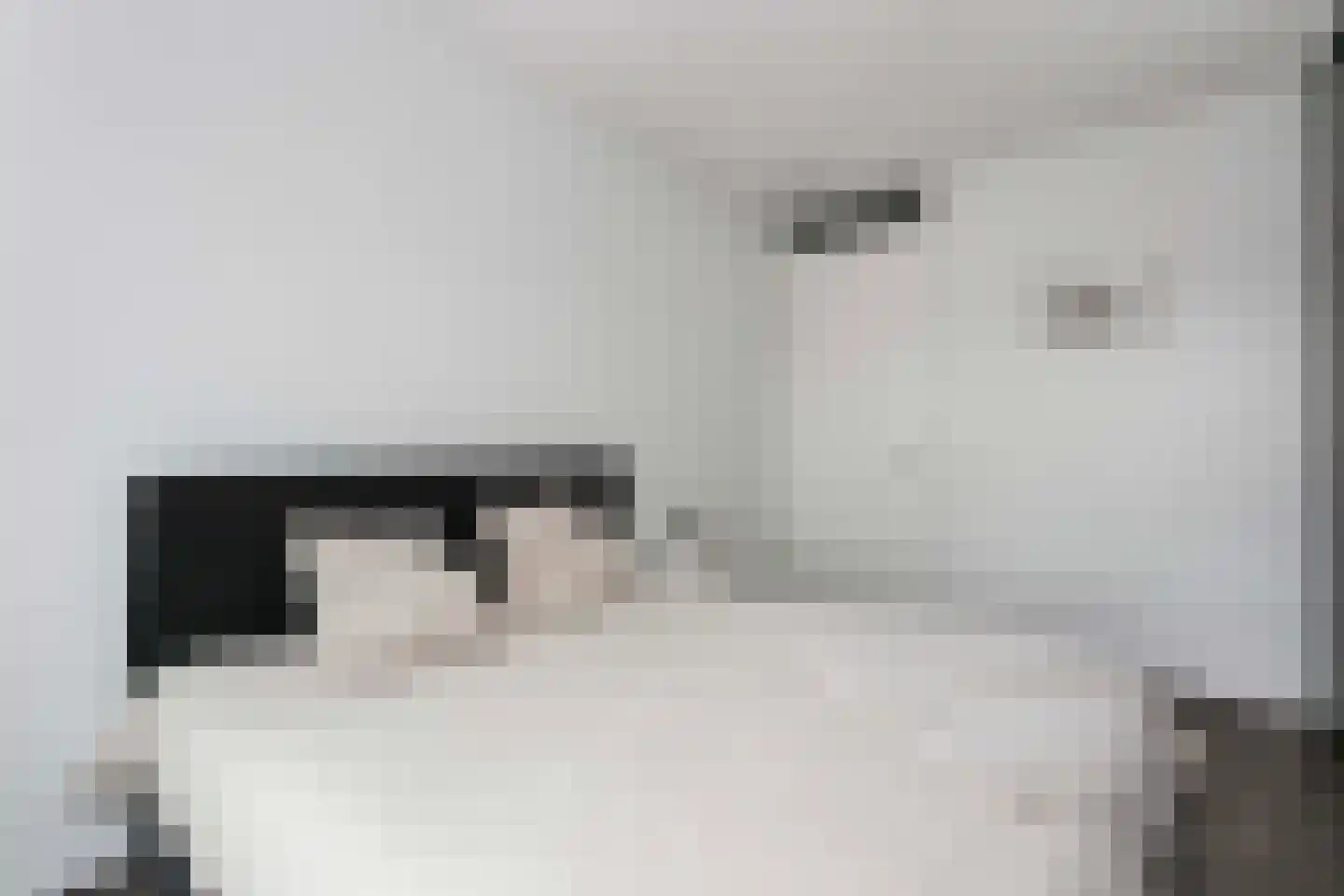 Arabellapad 324 Amersfoort thumbnail 29