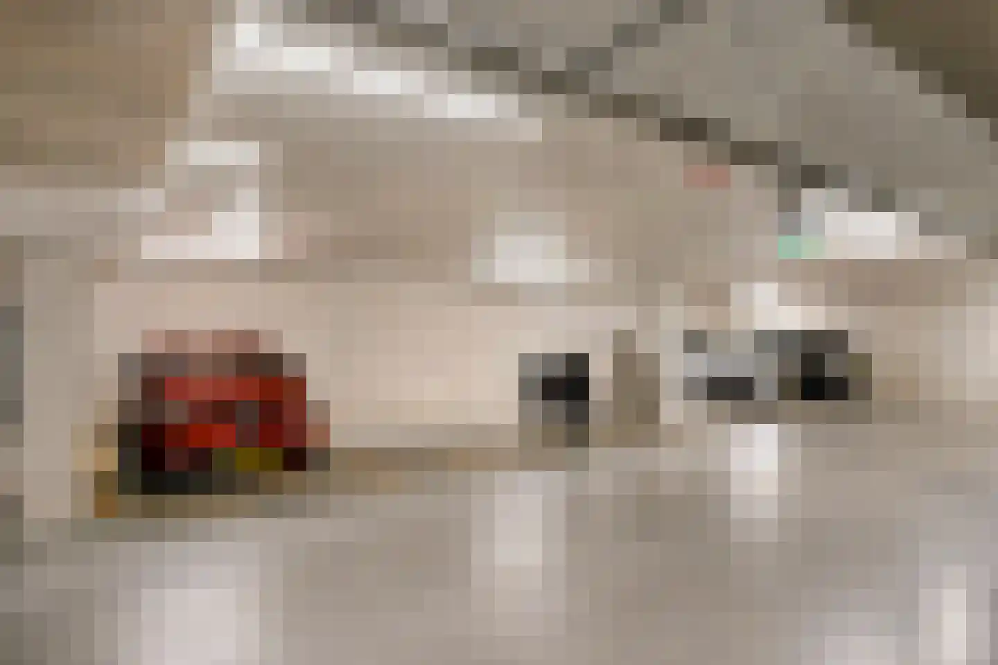Arabellapad 324 Amersfoort thumbnail 39