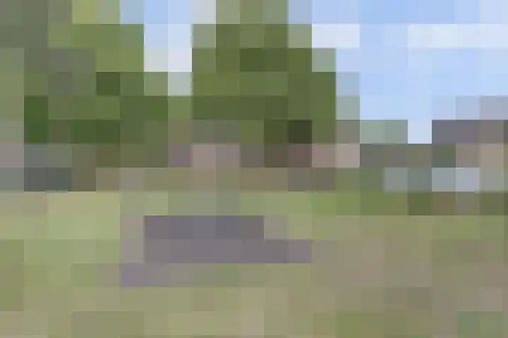 Arabellaplantsoen 2 Nieuwegein thumbnail 30