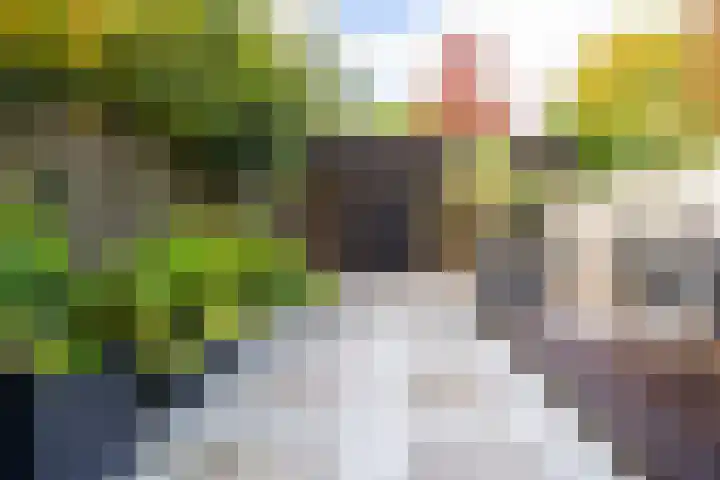 Arabellaplantsoen 29 Nieuwegein thumbnail 45