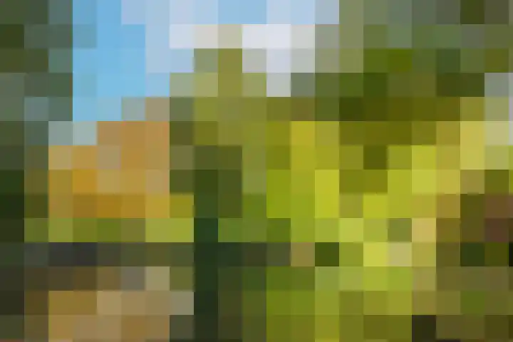 Arabellaplantsoen 29 Nieuwegein thumbnail 56